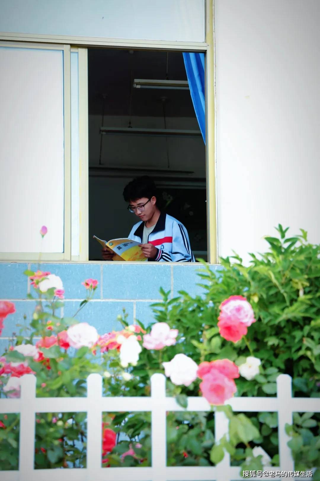 月季花开 香满校园——靖远四中校园美景