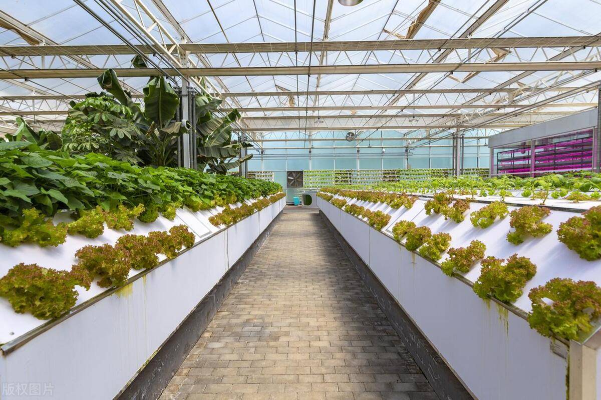 新农文化|如何塑造至臻完善的现代农业产业园区?