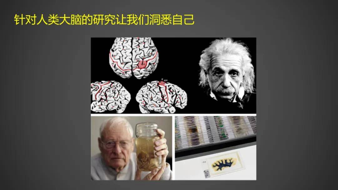 包爱民:致敬"无语良师",建设人脑组织库,存下未来的希望