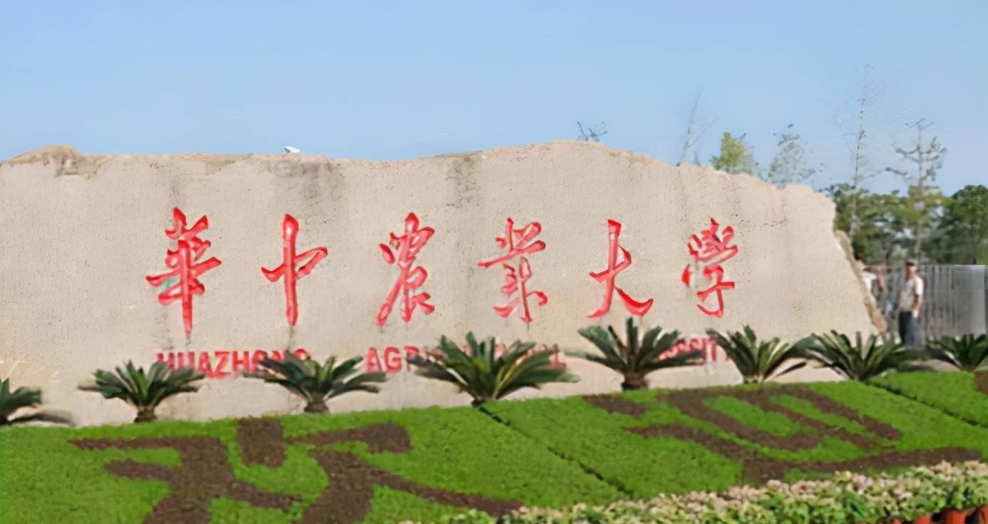 87年湖北夫妻捡到弃婴,扛煤气罐供读博士,24年后亲生父母找上门