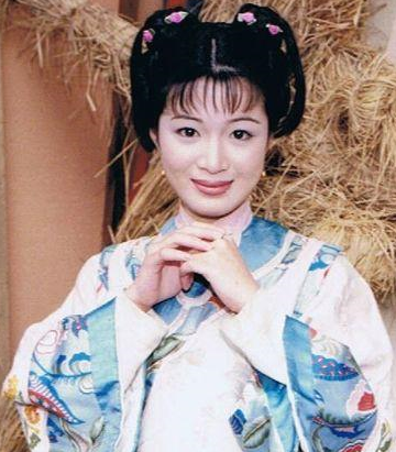 苏荃武功很高容貌又美,为什么会选择嫁给老婆很多的韦小宝?