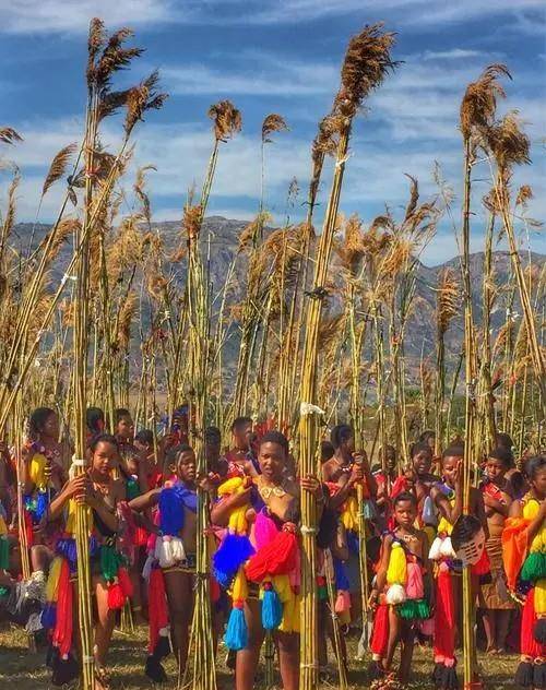 马科塞蒂维:集十万少女供国王选妃,王妃却给他戴了顶绿帽子