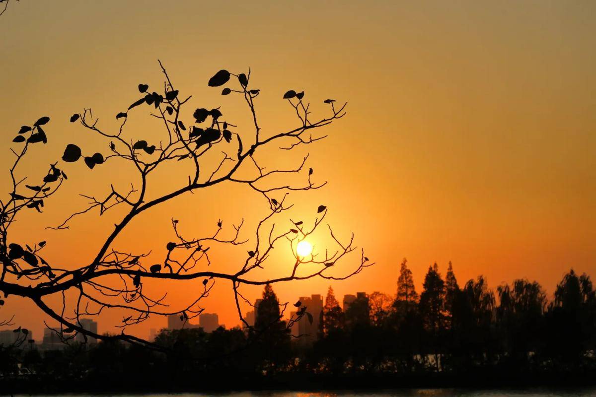 嗨森课堂:探索景深,摄影中的艺术和技术_背景_光圈_一段距离