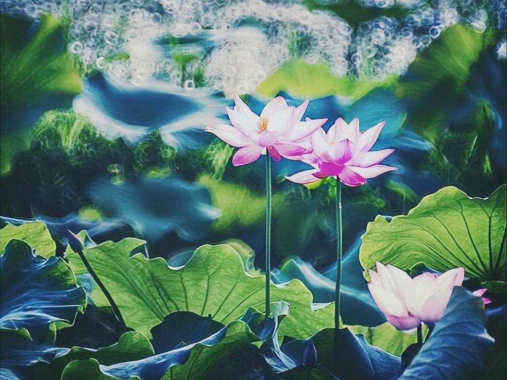 大智若愚的星座,很善于掌握主动权,有头脑,还能够隐忍,不简单