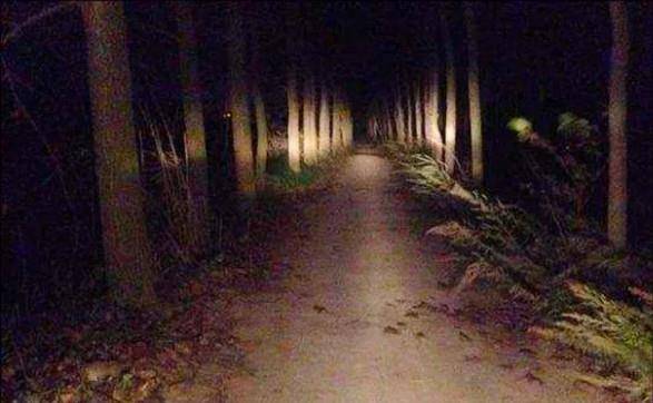 60年代鬼火遍地是,为什么现在很少见呢?