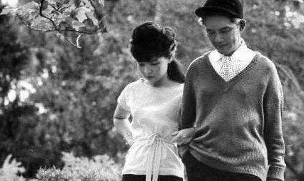 在1963年11月,吴廷琰的陆军首脑杨文明,阮兴等人发动了兵变消灭了总统