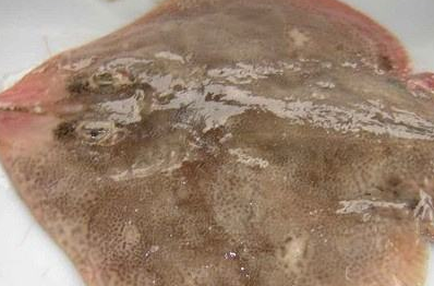 它比鲱鱼罐头还臭好几倍,却备受韩国人欢迎,重要宴席才舍得拿出