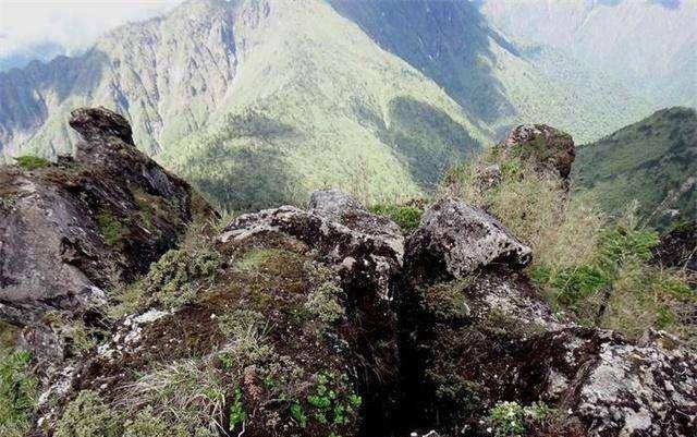 山的恐怖:三万人进去三千人出来,为了生存尿都要喝_远征军_缅甸_中国