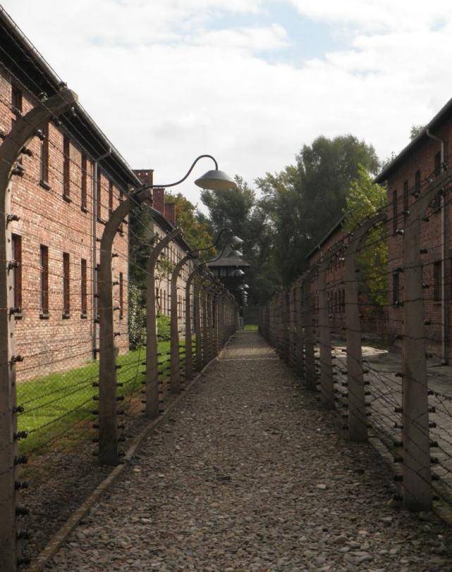 二战中的"杀人工厂"奥斯维辛集中营到底有多恐怖