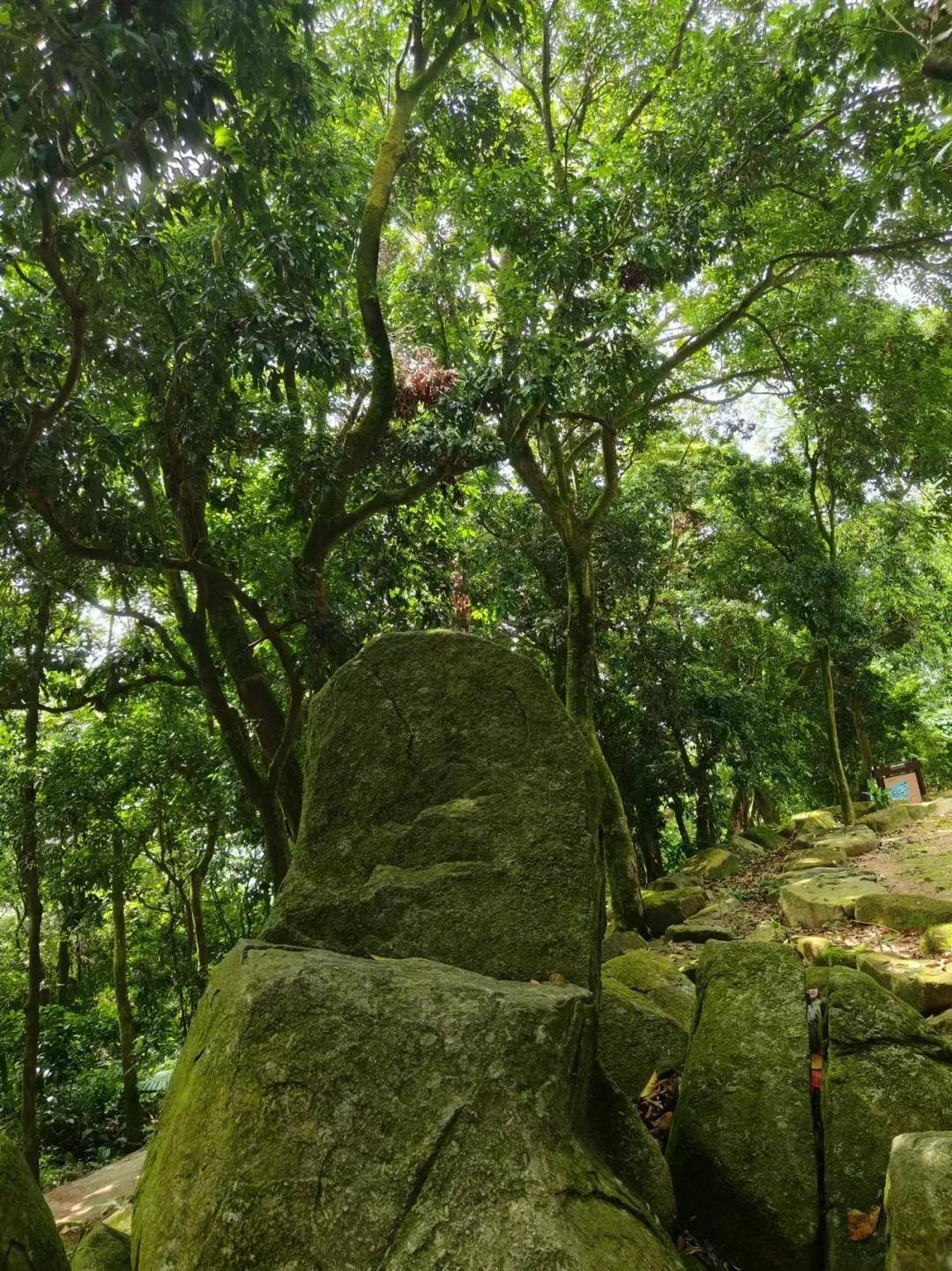 谢鞋山旅游风景区门票图片