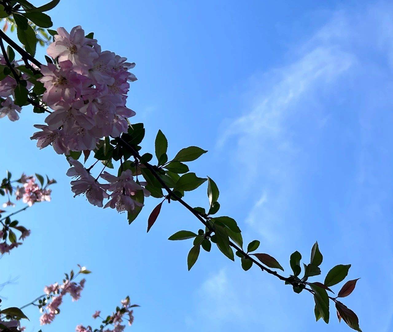 原创            中年女人，幸福感匮乏的主要原因，多半来自3件事-中年女人的幸福与四件事有关