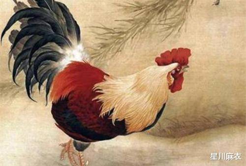 属鸡朋友是不是善于观察？6月鸿运怎么样