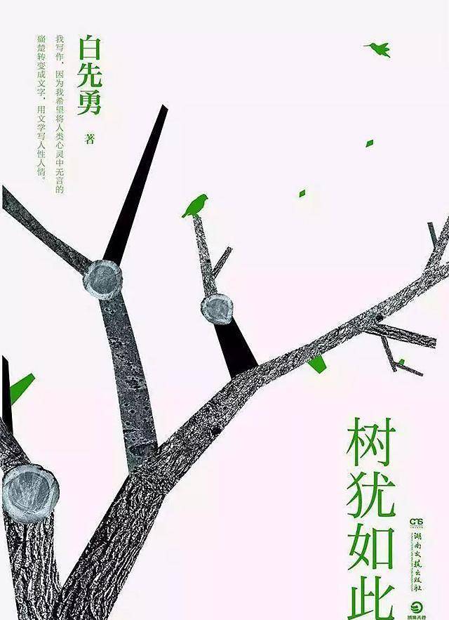 白先勇:对王国祥的爱超越了社会的约束,超越了性别