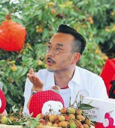 汪涵帮海南卖荔枝,发生"直播事故",海口市长:汪老师注意形象