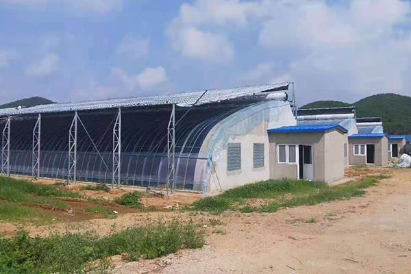 现代农业中的温室大棚建设”，一场农业科技与环保平衡的盛宴