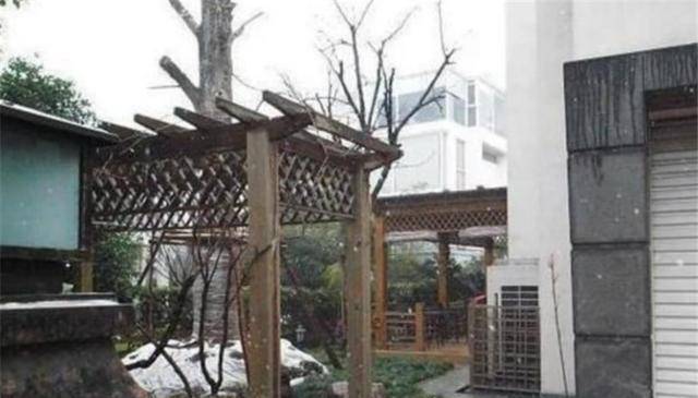 2004年,刘翔被奖励上海一套200万豪宅,如今值多少钱?