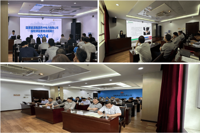 中国人寿财险贵阳中心支公司至黔南福泉电厂开展保险培训