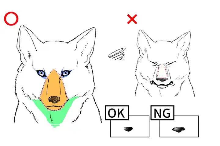 【绘屏教育】教你如何画好狗的身体和脸!