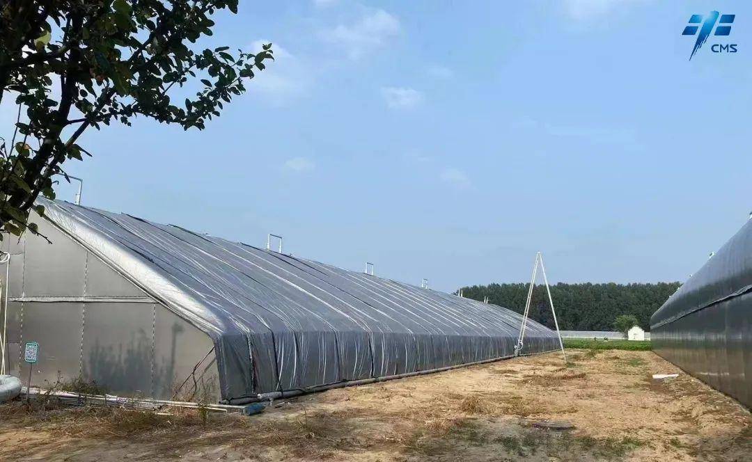 智能温室的"黑科技"——文洛式智能连栋温室,新型柔性日光温室