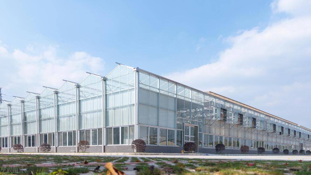 智能温室的"黑科技"——文洛式智能连栋温室,新型柔性日光温室