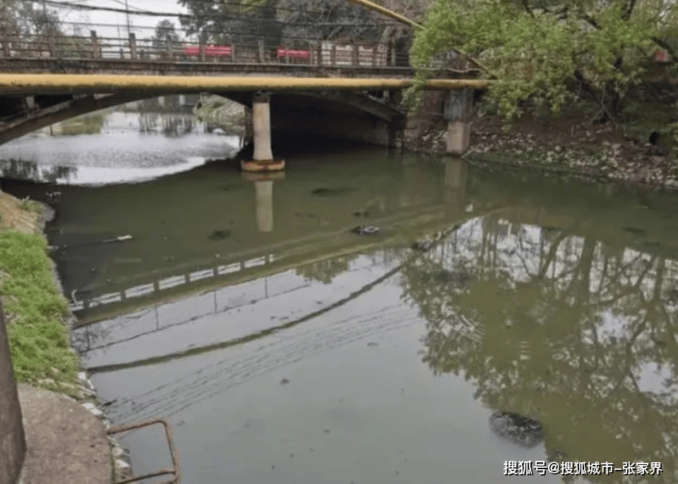 江西省11个地市全被中央督察组点名