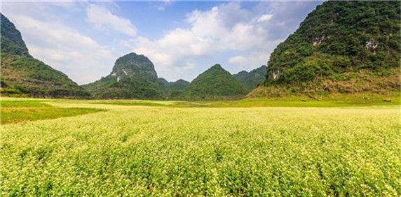 广西唯一一个入选了央视春晚,不要买门票就能参观的自然风景区!