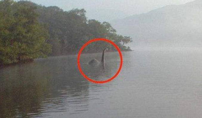 解密怪石湖"水怪"之谜,水下生物被捉住后,背后原因值得深思