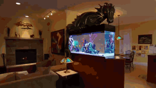 鱼缸_神兽_外国