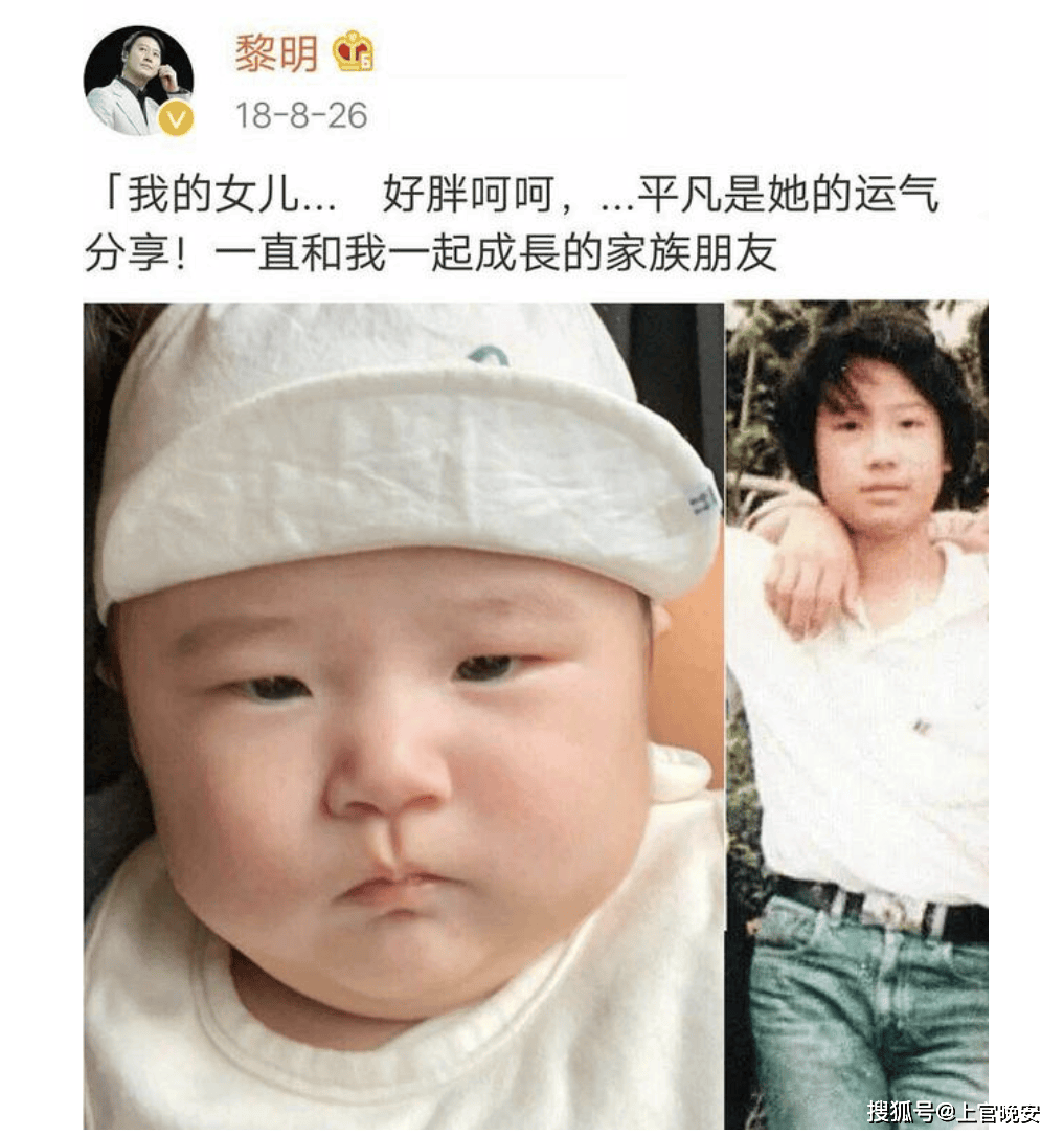 森林北神似章子怡,前任现任共用一张脸,世界是个巨大的菀菀类卿_陶虹