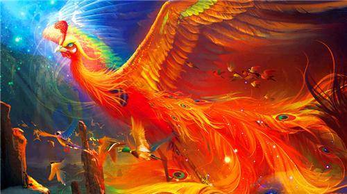 山西农民上山采药意外发现"金凤凰",投喂4年后,获得意外收获