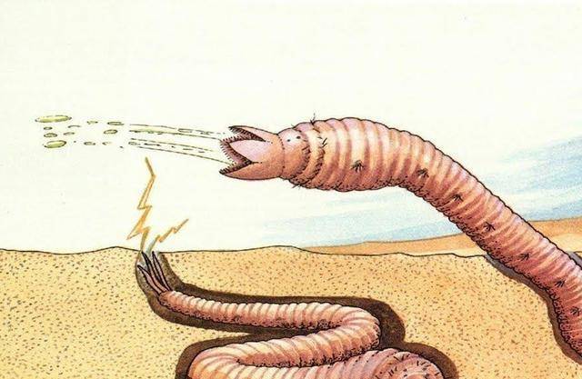 死亡之虫并非只是古老的传说,探险家描述遇到它们的经历_人类_虫子