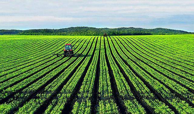 清华教授柳冠中:中国农业应以解决人的吃饭问题为主