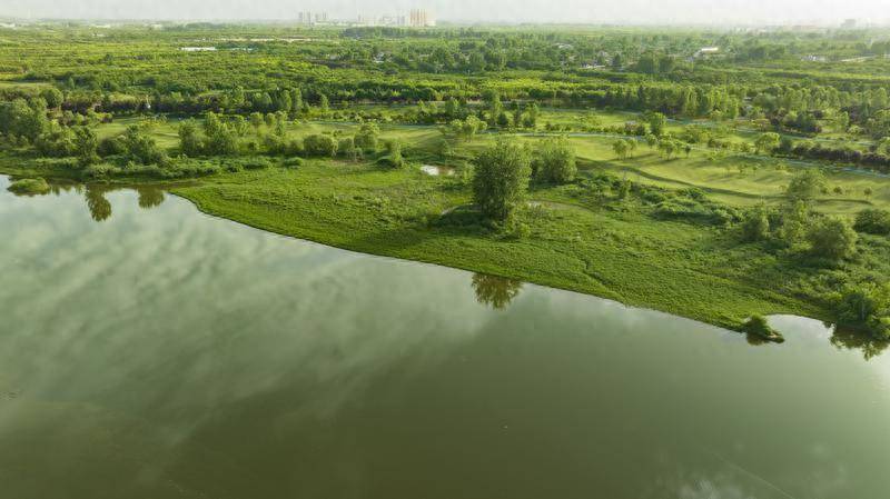 西安梁家滩湿地公园:碧波潋滟 风景如画