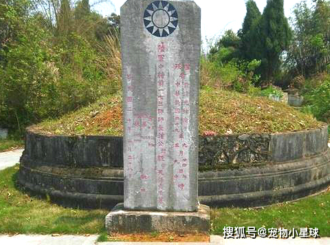 他是一名师长,曾率领卫士排血战日军4小时,最后壮烈殉国_钟毅_师团