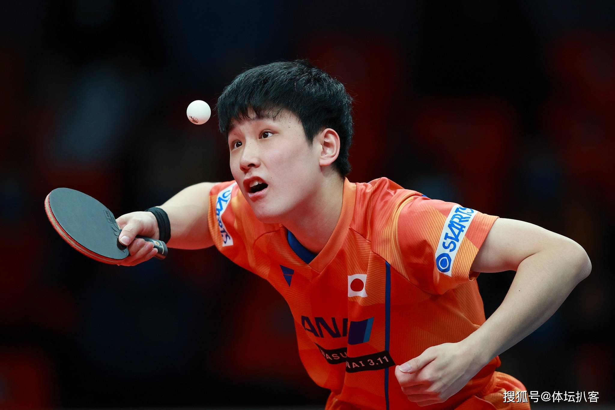 3-1!樊振东淘汰张本智和 单局2-8落后大逆转 对手绝望拿毛巾捂脸