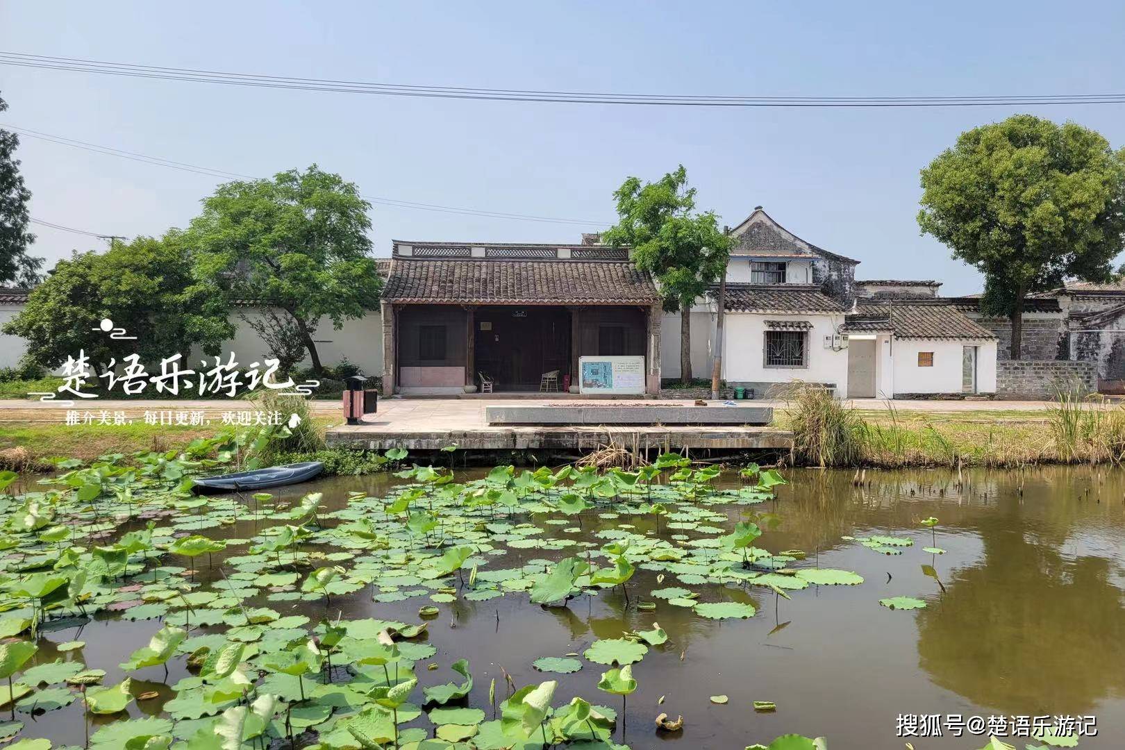 浙江宁波的绝美古村,村子内外都在旧貌换新颜,秋英花田园很秀丽
