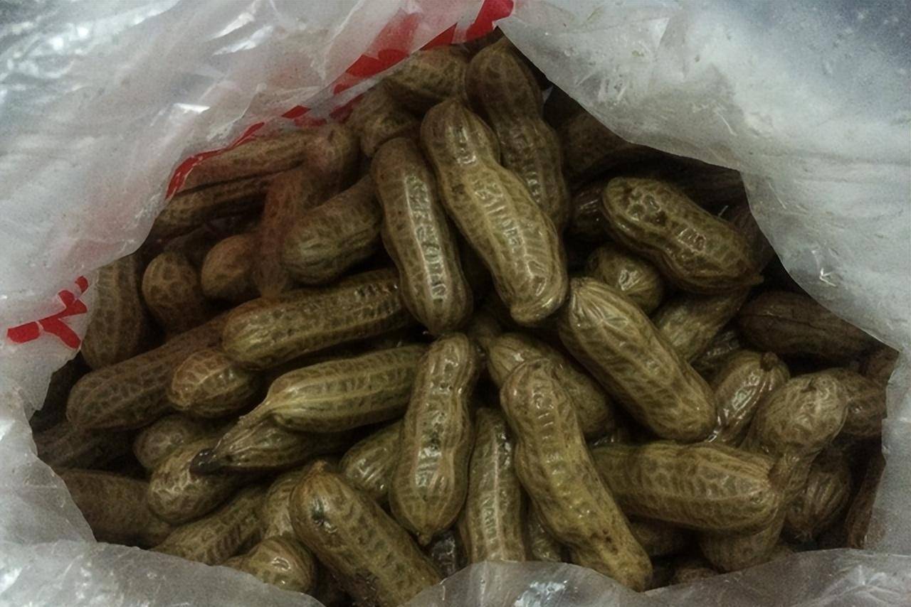 86年吉林女子回家探亲,好心给身旁男子一把花生,救了车厢人性命