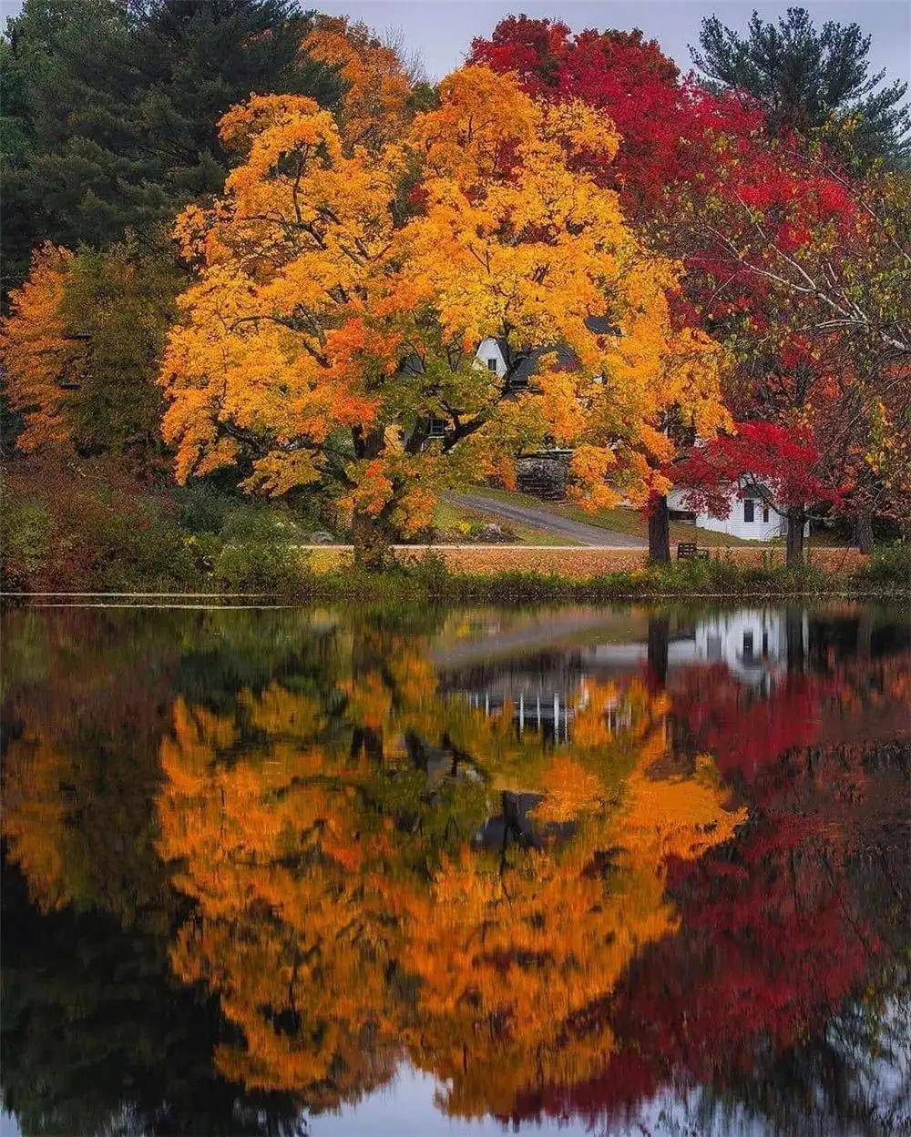 顶级绝美秋色美景,绚丽迷人