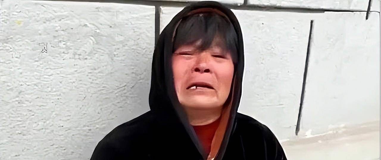 交通_谭明明_和解