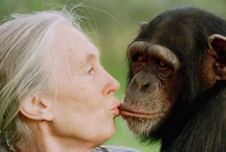 奇人张金星:变卖家产进山找野人,称遇到女野人就当她的丈夫