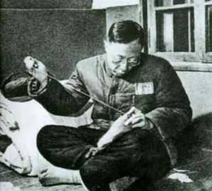 被童仆写八封信斥责,求医生救命,想给国家做事_李玉琴_李淑贤_皇帝