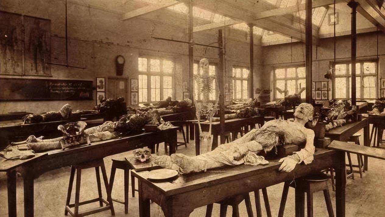 下图是1883年,剑桥大学的解剖实验室,每具尸体以12英镑左右的价格交易