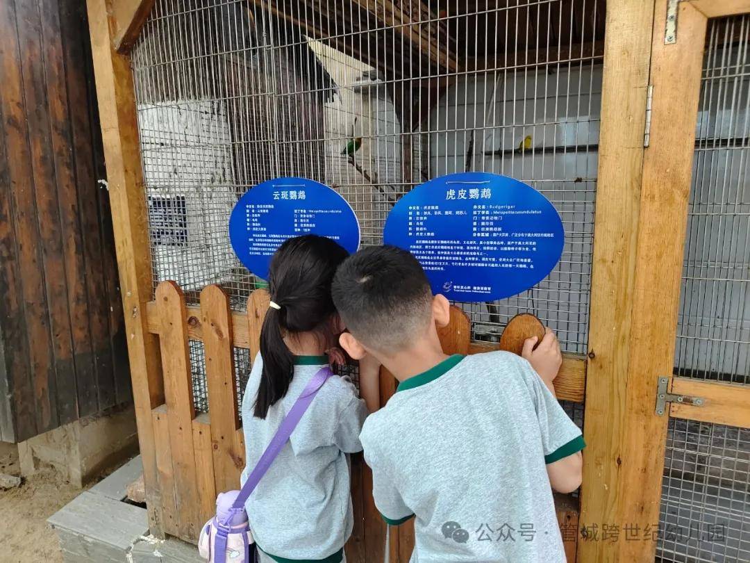 【初探小学 礼遇成长】——管城跨世纪幼儿园参观小学活动