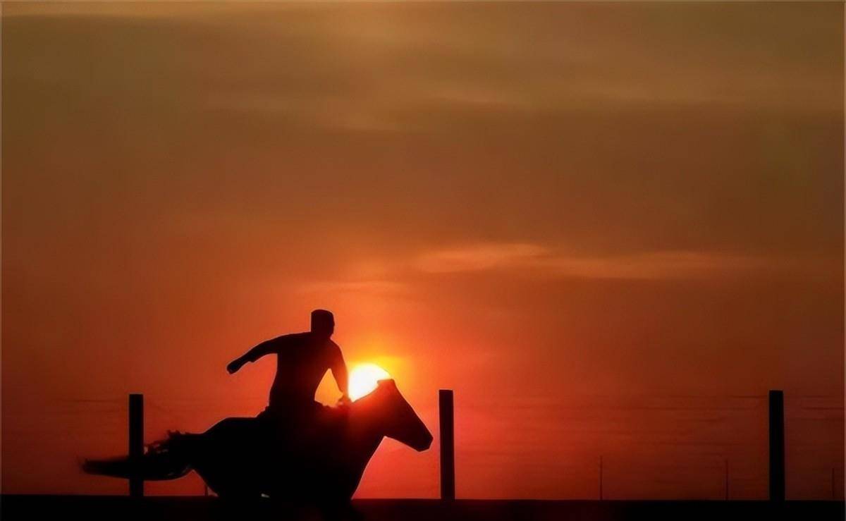 战马突然不听使唤往回跑,首长想了想,脸色一沉:危在旦夕