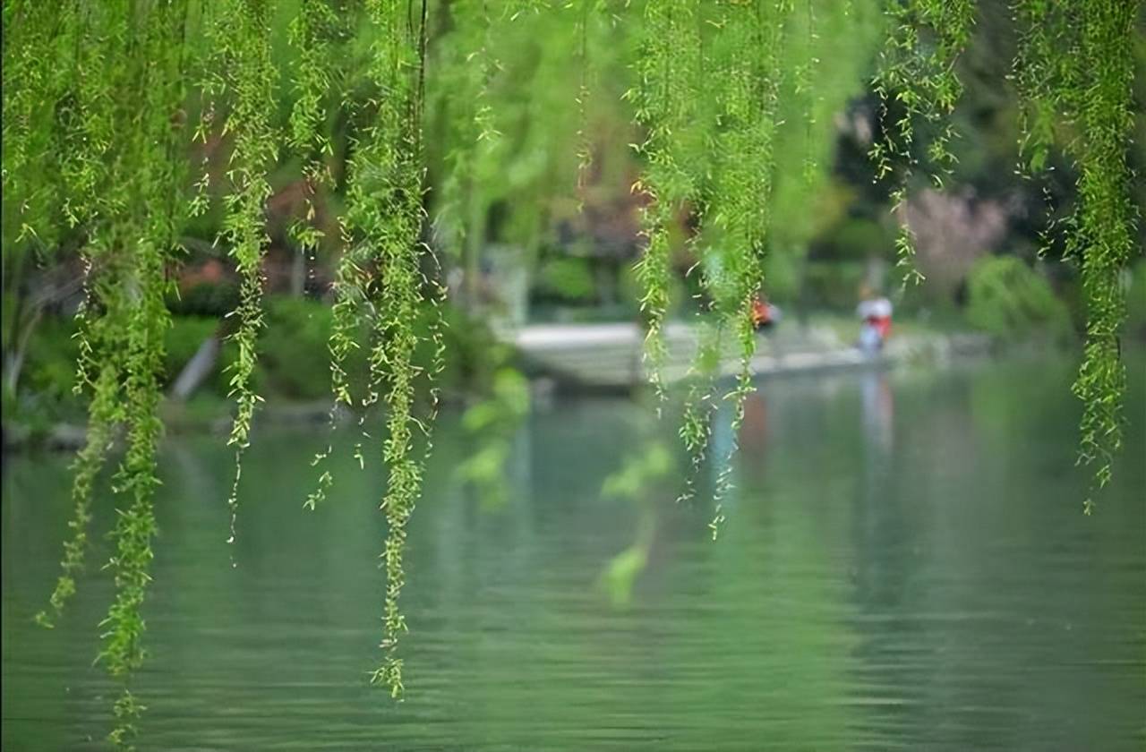 范成大笔下的夏天诗词,梅子金黄,麦花雪白,美到心醉!