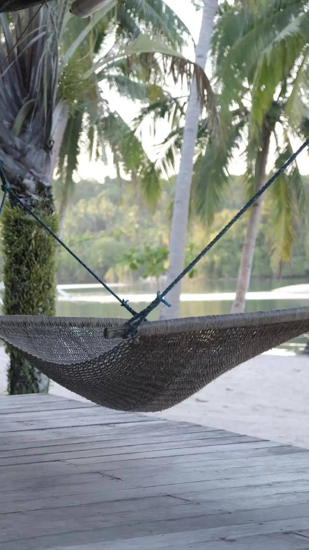 "接地气"的原始风格很有新鲜感,躺在草屋门口的吊床上看日出日落,听