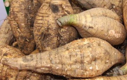 葛根可是"护肝宝",葛根好处多,话不多说,来一根!