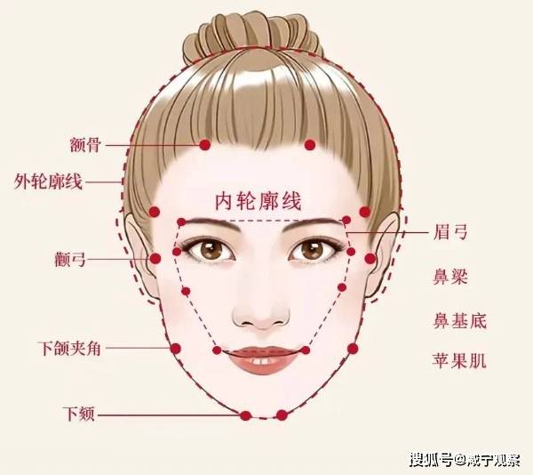 面部轮廓示意图图片