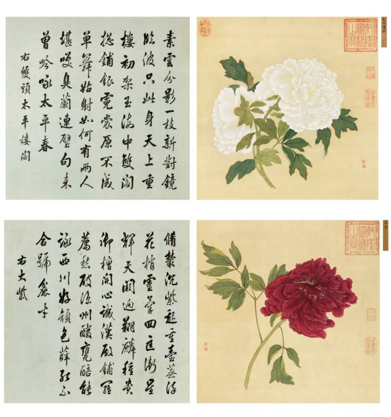 果宸分享|花天花地——龙美术馆十周年特展