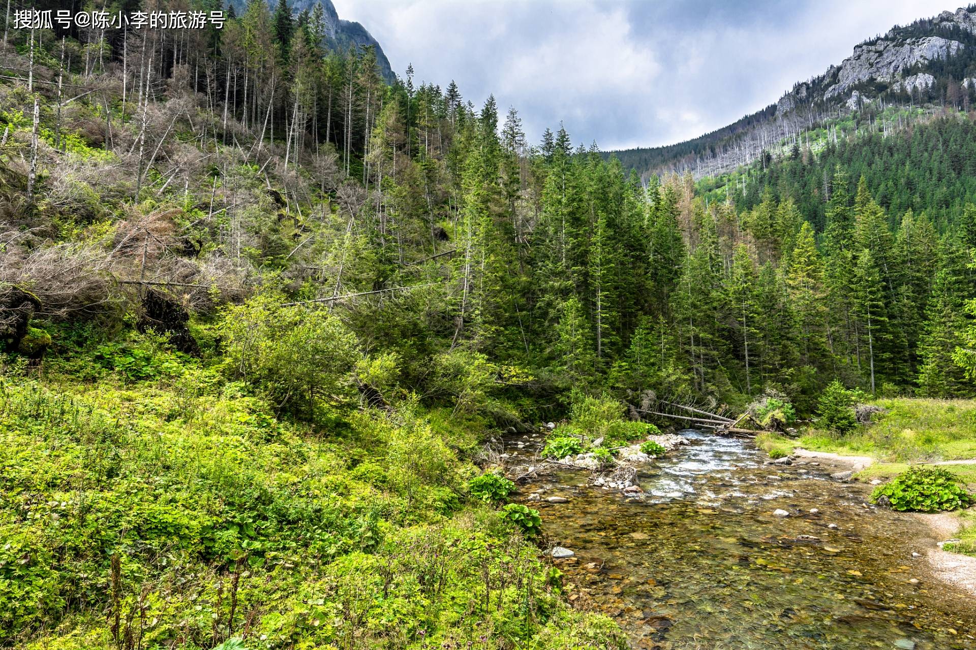 吐鲁沟国家森林公园,一个神话般的绿色山谷,四季美景如画卷